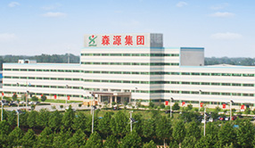 森源概況